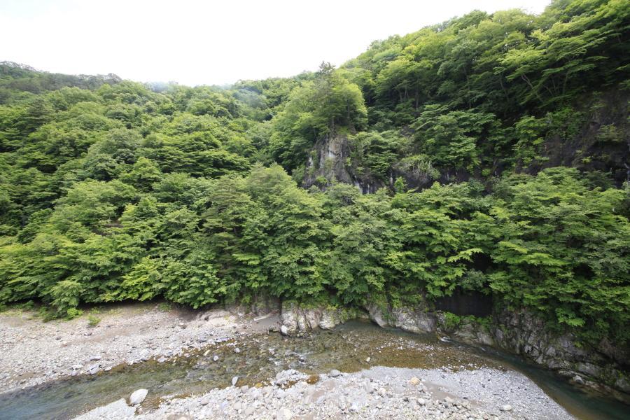 Minshuku Fukufuji Hotel Nikkō Luaran gambar